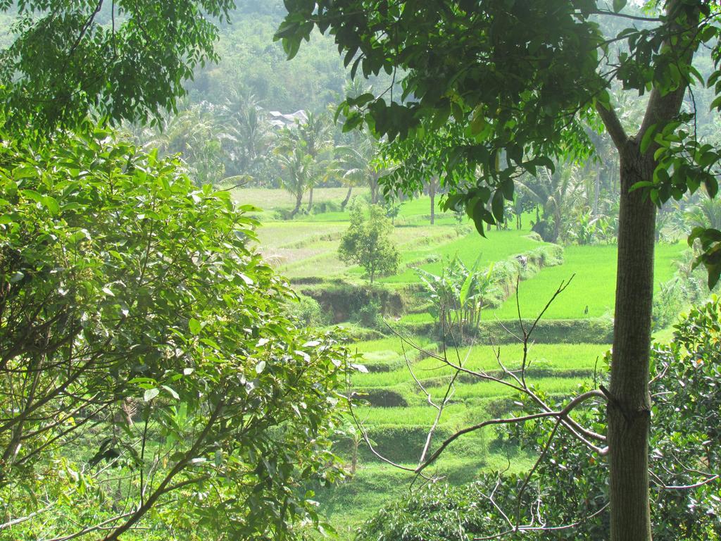 Tetebatu Indah Homestay Exterior photo