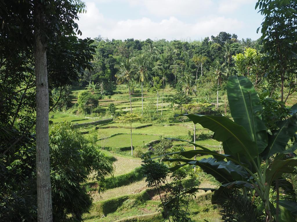 Tetebatu Indah Homestay Exterior photo