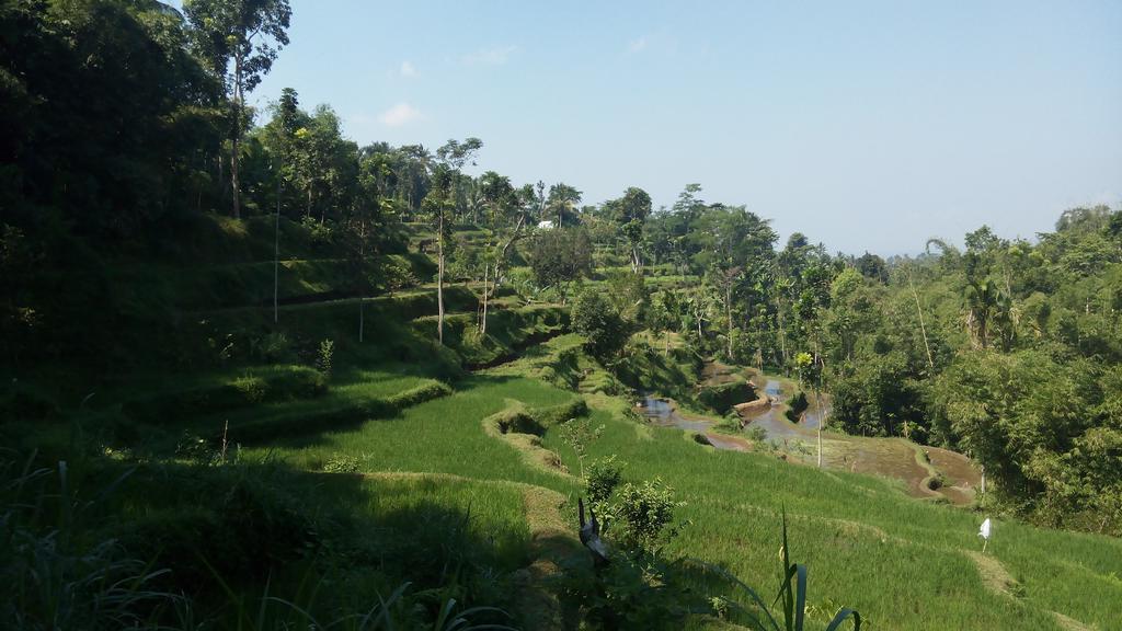 Tetebatu Indah Homestay Exterior photo