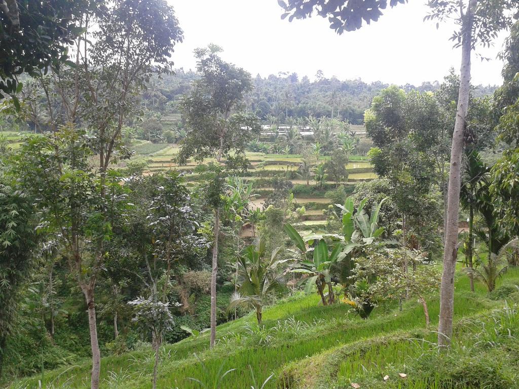 Tetebatu Indah Homestay Exterior photo